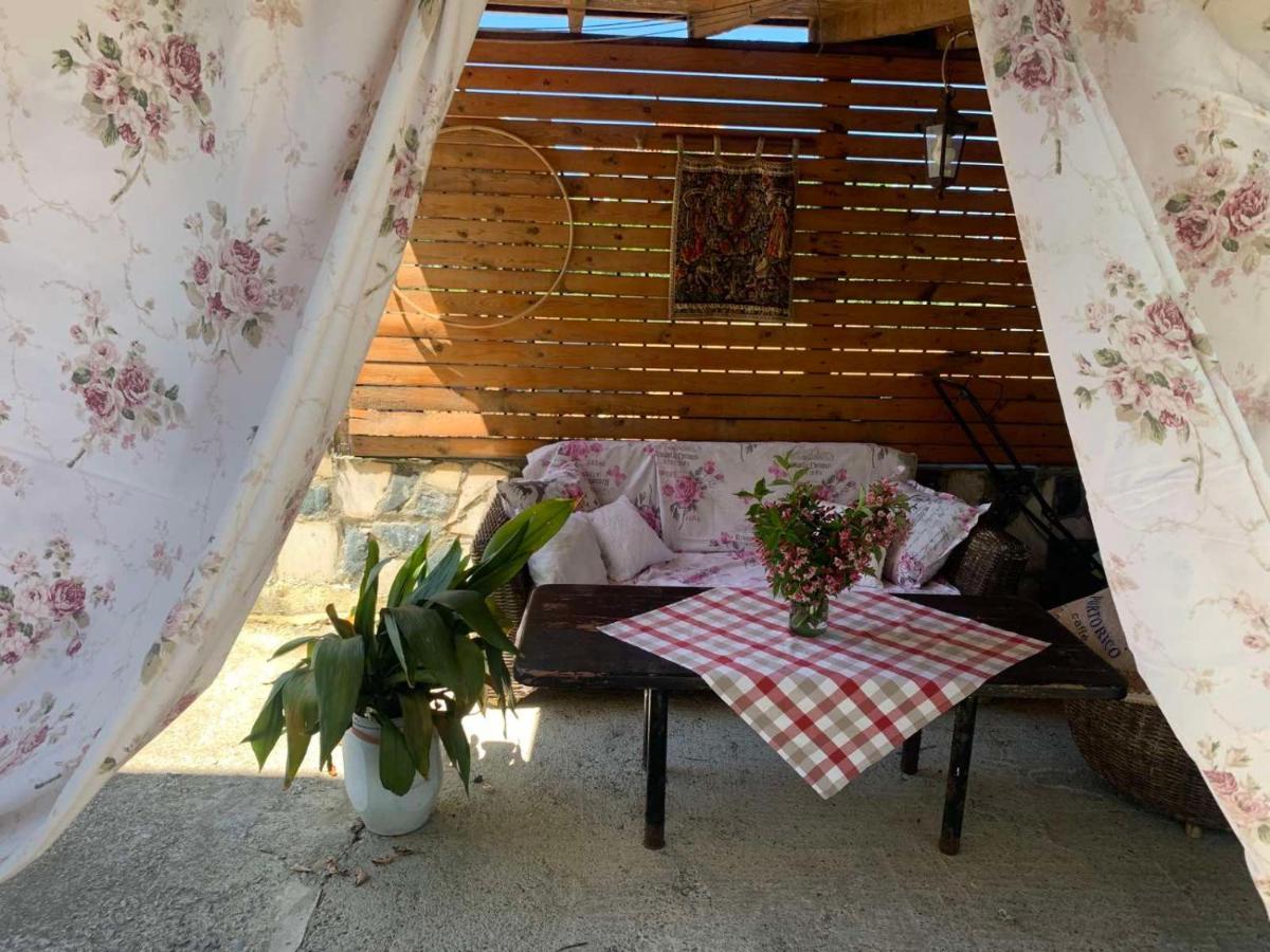 Triglav Edelweiss Guest House Pavel Banya Exterior photo